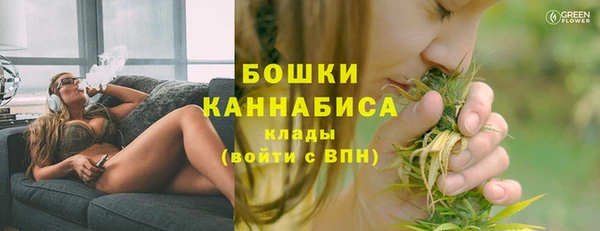 ГАЛЛЮЦИНОГЕННЫЕ ГРИБЫ Костерёво