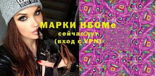 молекула духа Коряжма