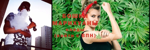 молекула духа Коряжма